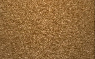 Medium Bronze