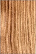 Wire Brush Medium