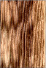 Wire Brush Heavy