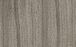 Accoya Grey