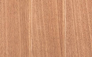 African Mahogany